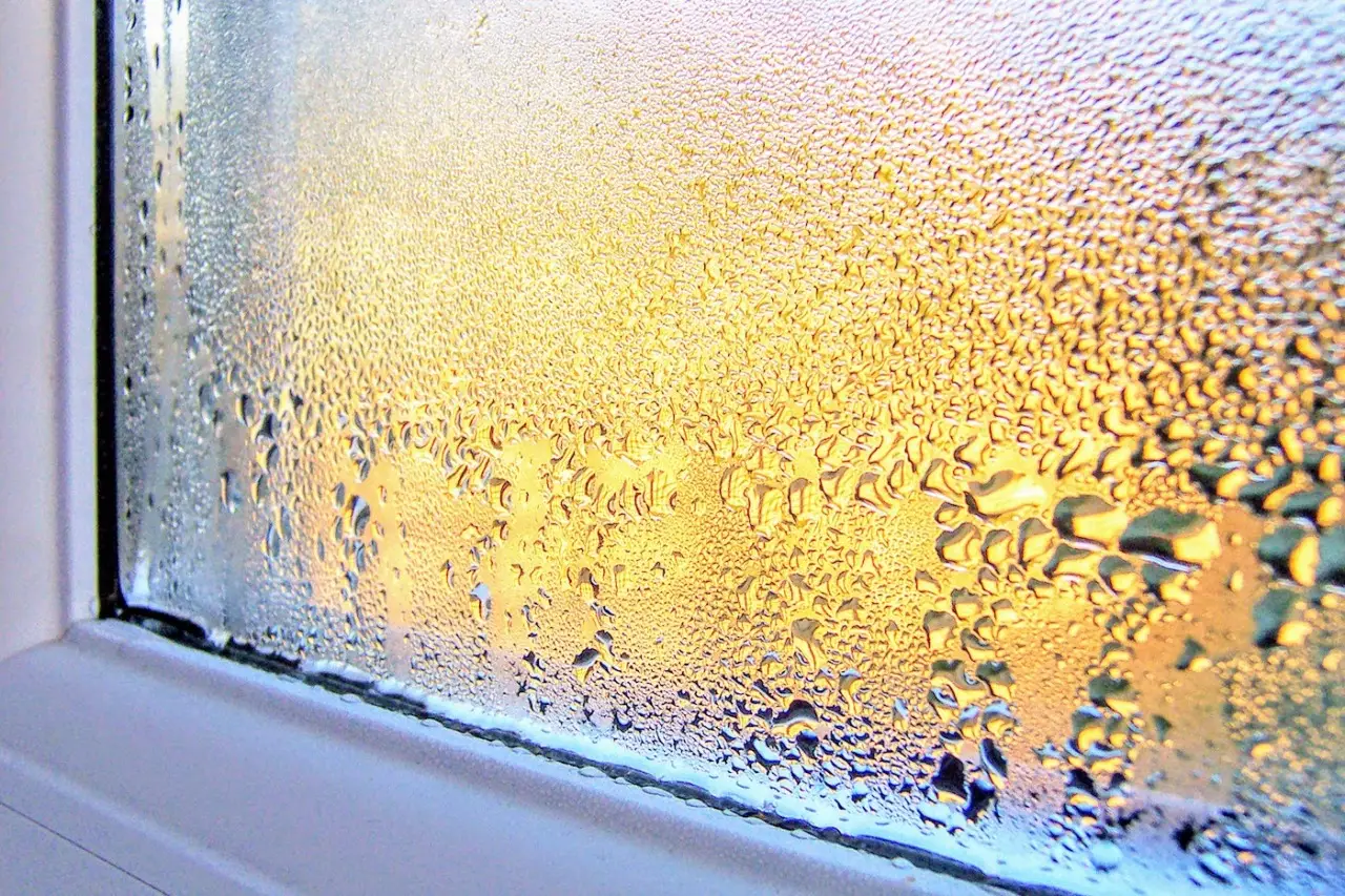 Come eliminare la condensa: ecco il rimedio che nessuno conosceva
