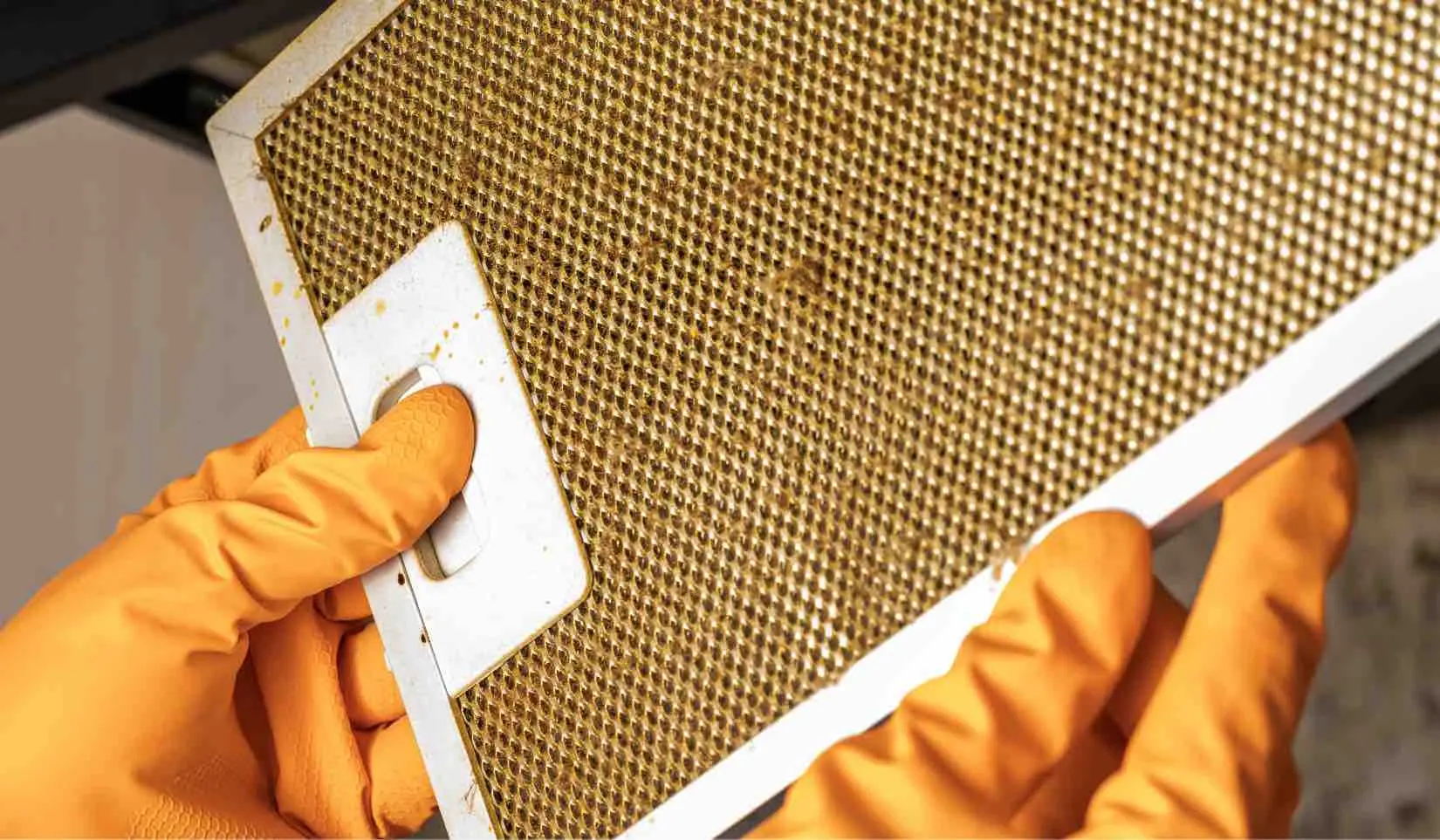 Come togliere la ruggine dai filtri della cappa: il metodo più efficace