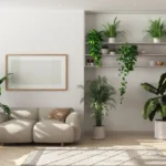 Addio all’umidità in casa: la pianta che la combatte naturalmente e decora