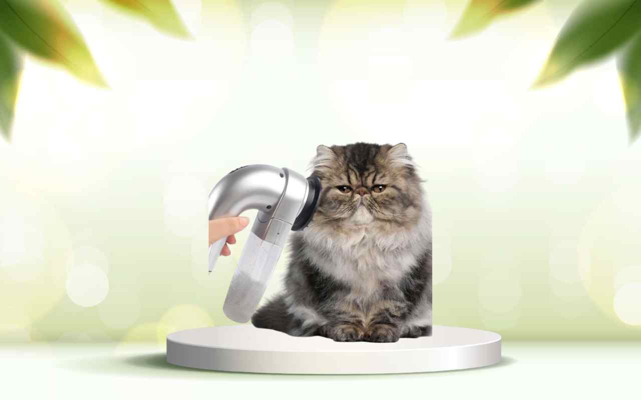 Scopri SpazzolAmica: elimina i peli degli animali e pulisci casa senza fatica