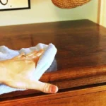 Rendere il legno come nuovo: il mix segreto di aceto e olio che funziona