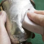 Come lucidare l’argento: ecco i prodotti da utilizzare