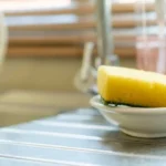 Allerta muffa: ecco come evitare problemi con la spugna per piatti