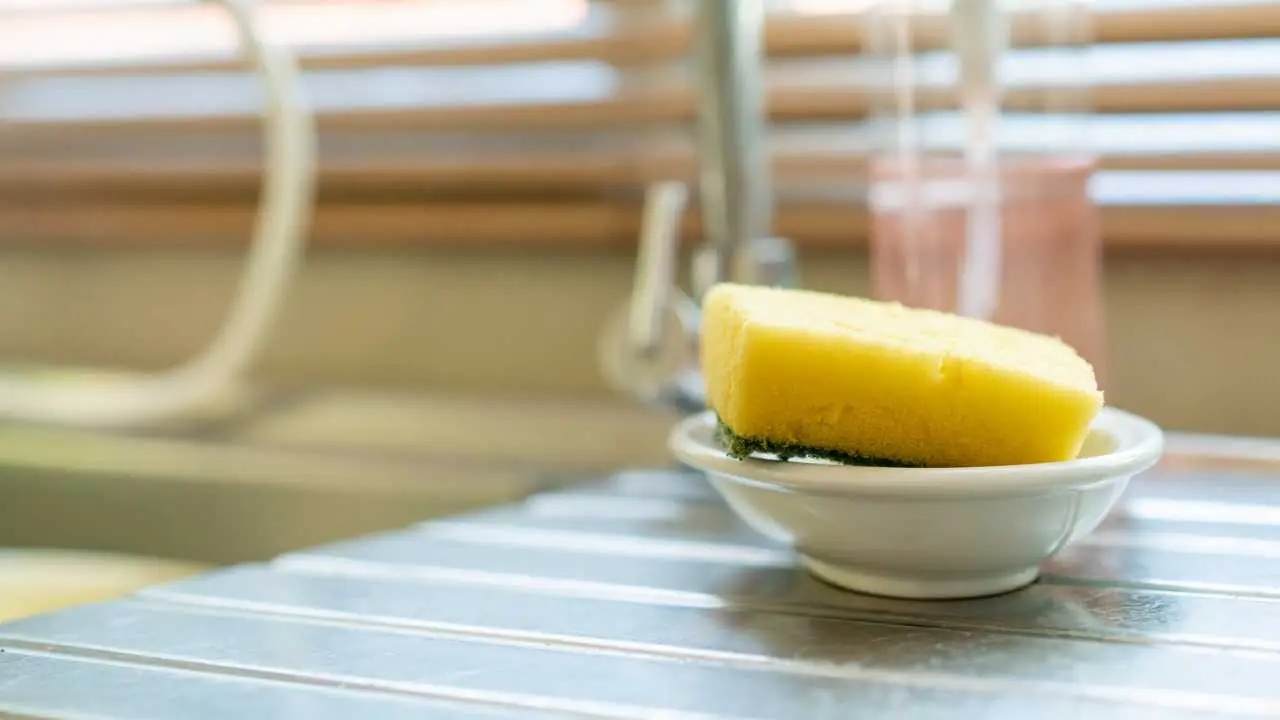 Allerta muffa: ecco come evitare problemi con la spugna per piatti